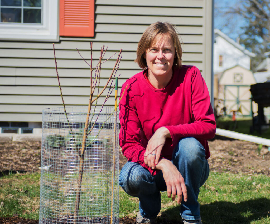 Photo: Emily Steinwehe plants a peach tree in the front yard of one of her customers in Madison, Wisconsin.
